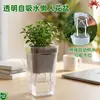 Bandeja de Inmersión de Plástico para Jardinería Maceta Cuadrada Corta Transparente Engrosada Maceta para Plántulas de Suculentas Maceta para Plantas Maceta para Plantas Hidropónicas Maceta para Flores