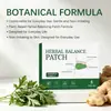 Suministro exclusivo transfronterizo: Esencia para el Cuidado Corporal Parches Herbales de Equilibrio, Paquete de 5, Fórmula a Base de Plantas, Venta al por Mayor de Fábrica