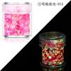 Lentejuelas Luminosas para Arte de Uñas Glitter Luminoso Serie Mágica Set 24 Botellas de Color Esmalte de Uñas Gel Amazon Transfronterizo
