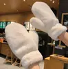 Luvas de cor sólida para inverno atacado forradas de fleece grossas quentes à prova de frio simples para andar de moto corta-vento femininas pelúcia conectada masculinas
