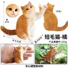Traje de modelo de gato animal de simulación para niños, juego de gato, gatito, modelo de gatito blanco y negro, juguetes, adornos