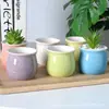 Venta al por mayor del fabricante Macarrón Cerámica Maceta Pequeña Planta Suculenta Amazon Escritorio Maceta para Plantas Verdes Jardinería Creativa
