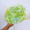 [Anna solteira] Hortênsia Eterna Anna Ramo Inteiro Hortênsia Flor Organizar Flor Fotografia Adereços Decoração