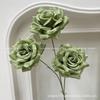 Plantas Verdes Artificiais para Casamento, Grama Aspargo Verde Estilo Floresta, Flores Artificiais Verdes, Materiais Florais Artificiais para Casamento, Série de Decoração para Salão de Casamento