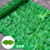 Valla de simulación, pared de plantas verdes, valla de plástico, techo exterior, balcón, embellecimiento, refugio, decoración, ratán transfronterizo