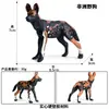 Modelos de Animales Realistas: Doberman, Golden Retriever, Perro de Peluche, Husky, Collie - Adornos para Coche y Juguetes para Niños