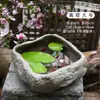 Acuario Pequeño de Escritorio Estilo Tradicional para Decoración del Hogar en Sala de Estar, Balcón u Oficina; Estanque Hidropónico; Mini Acuario de Piedra Artificial
