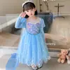 Oferta Especial Venta de Liquidación Vestidos para Niñas Vestido de Princesa Elsa de Frozen Vestido de Cuento de Hadas Blancanieves Disponible para Dropshipping
