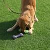 Juguetes para mascotas Amazon Hot, resistentes al desgaste y a las mordeduras, juguetes interactivos para perros grandes y medianos, no tejidos, resistentes a las mordeduras.
