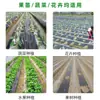 Película plástica de cobertura de suelo blanco y negro para agricultura para invernaderos, utilizada para deshierbe, aislamiento y retención de humedad, con blanco en el centro y negro en los lados