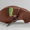 Suministro de Hígado Natural, Modelo de Enseñanza Médica Natural, Modelo de Anatomía Humana, Modelo de Anatomía Hepática Pancreática