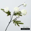 Buquê de 5 flores de camélia artificiais, decoração de cena com peônias, flores artificiais de alta qualidade para casamentos