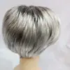 Ventas Directas de Fábrica Pelucas Transfronterizas, Pelucas Cortas Rizadas Esponjosas para Hombre Color Gris-Blanco, Estilo Europeo y Americano Pelucas Rizadas al por Mayor para Hombres