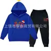 Conjunto de Sudadera de Forro Polar Otoño e Invierno 2025 para Niños y Niñas Conjunto de Dos Piezas de Sudadera Ropa Infantil Sudadera de Manga Larga y Pantalones Deportivos para Niños Pequeños