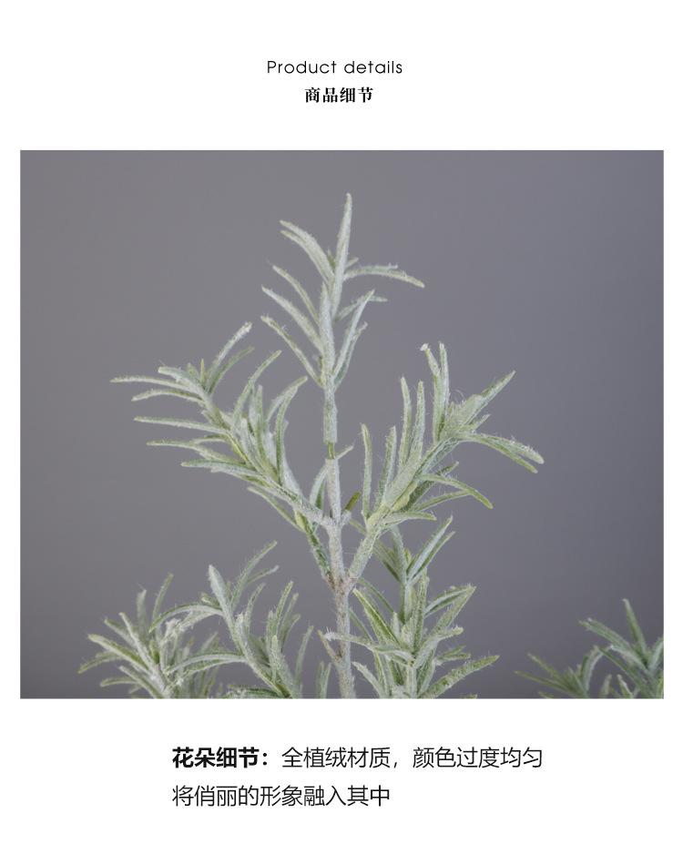 植绒_07.jpg