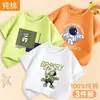 Ropa de Verano para Niños Estilo Nuevo 2026, Tops Frescos y con Estilo, Camisetas de Moda para Niños, Camisetas de Manga Corta para Verano, Estilo Coreano, Guapo de Algodón Puro Manga Media