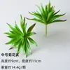 Cabeza de Flor de Terciopelo Carnosa Planta Artificial Falsa Combinación en Maceta de Sábila Cactus Plantas Verdes Adornos de Micro Paisaje