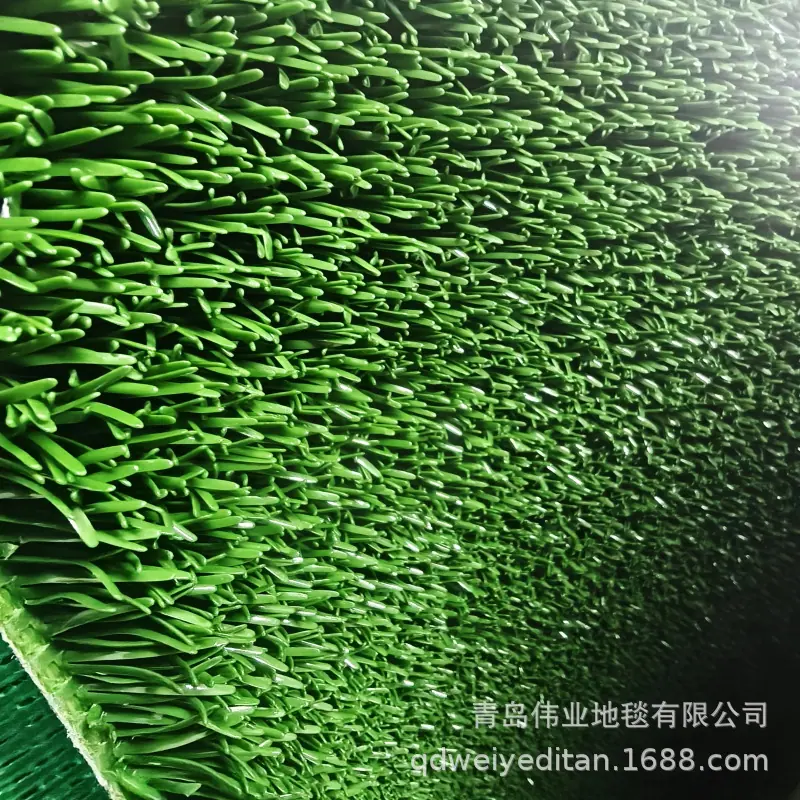 IMG20260106151604.jpg