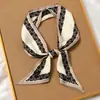 Diadema estilo francés Primavera y Otoño versátil vintage pañuelo de seda para mujer cinta larga pequeña cinta decorativa estilo ins atar coleta pelo