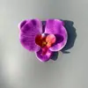 Simulação Película Impressa em 3D Cabeça de Flor Phalaenopsis Amazon PU Impermeável Decoração de Cabeça de Flor Phalaenopsis Phalaenopsis em Estoque