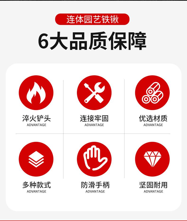 详情_02.jpg