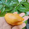 Peça de Cabo de Madeira de Ginkgo Esculpida Criativamente para Casco de Porco Madeira Maciça Presente Artesanato Decorativo Peça de Cabo de Casco de Porco para Pegar Dinheiro