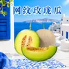 Melón enmallado de Shandong Meilong, envío directo 3/5/9/ 4-4.5 kg piezas, textura de helado, crujiente y dulce, caja de regalo, fruta fresca