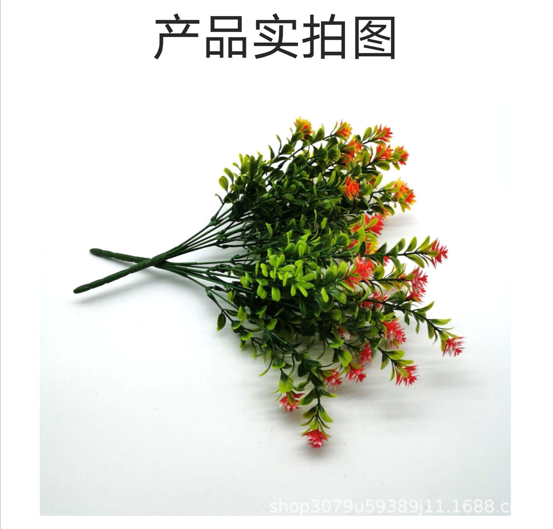 QQ图片20200619095958.jpg