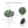 Más de 100 Tipos de Combinaciones de Plantas Suculentas Mini de Plástico Simuladas en Maceta, Mini Bonsáis Suculentos Más Vendidos Transfronterizos, Decoración para el Hogar, Adornos Creativos