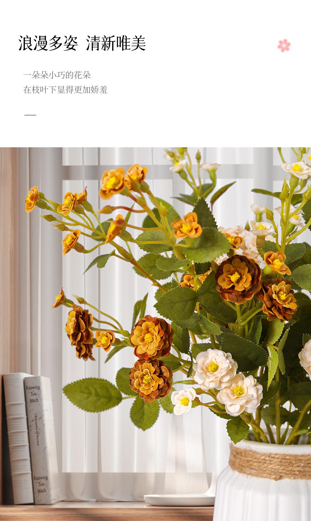 迷你小月季详情图