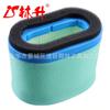 Linsheng Suministros Accesorios para Cortacésped 796031 Filtro de Aire Adecuado para Briggs & Stratton 591334