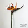 Salão de Casamento Teto de Casamento Flor Material Flor de Seda Laranja Outono Flor Falsa Laranja Laranja Laranja Peônia Rosa Flor de Simulação