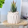 Bule de Porcelana Branca Dehua Vaso para Suculentas Branco Puro Moderno Jardinagem Doméstica Cerâmica Pequeno Vaso Transfronteiriço Simples Vaso para Plantio de Suculentas