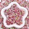 Nova camélia manicure joias mista degradê rosa vinheta resina luminosa moonflower decoração de unhas atacado