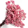 Buquê de Gipsofila Seca Preservada Flores Secas Brancas Flores Reais Secas ao Ar Flores Grandes Decoração de Sala de Estar Arranjo de Flores Flores para Fotografia de Casamento