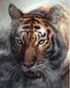 Pintura en lienzo de animales naturales, león, tigre y guepardo, póster, arte de pared, decoración moderna para sala de estar