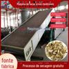 Xinyi máquina de secagem net belt automático Mulan Xinyi flor chinesa fitoterapia equipamento de secagem caneta de madeira Flower Baking dryer