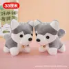 Fabricante de Origen Peluche de 8 pulgadas Muñeca Linda Muñeca para Máquina de Garra Muñeca Capibara Adorno Pequeño Muñeca Compañera de Mesa