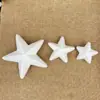 Estrela de cinco pontas de espuma eps baolilong pingente de decoração de Natal cinco estrelas fornecimento de vários modelos fabricantes