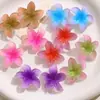 Patch de Decoração Acrílica Flor de Cinco Pétalas Gelo Transparente de Verão, Brincos DIY, Acessórios de Orelha, Acessório para Chaveiro de Tamanco