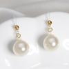 Nuevos pendientes colgantes de perlas de moda, ligeros, de lujo, de alta gama, elegantes, con gancho para la oreja, a la moda, combinables, elegantes y atractivos para mujer.