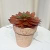 Simulación de plantas carnosas decorativas para el hogar, arreglos de mesa, pequeños adornos, plantas carnosas en maceta, suministro transfronterizo, flores de simulación