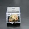 Cristal Natural Minério Rocha Pedra Bruta Cristal Mineral Ornamentos Presente de Ensino de Ciências para Crianças Coleção de Espécimes de Minério