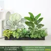 Paisagismo com Plantas Verdes Simulação Floreira Divisória de Piso Arte Floral de Chão Paisagem de Plantas Combinação de Floreira Flor Artificial em Vaso Bonsai Decoração