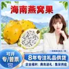 Nido de Pájaro de Hainan Seleccionado Cuidadosamente Fruta Compra al por Mayor 1 Jin Fruta Grande / 2 Jin Fruta Grande / 3 Jin Fruta Grande Fruta Fresca
