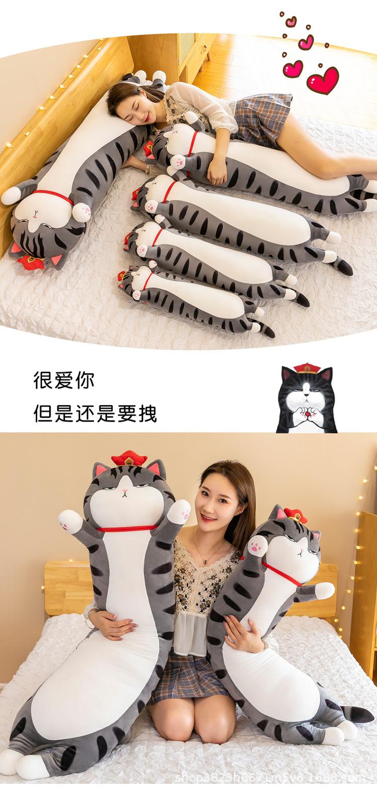 吾皇猫_14.jpg