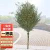Vassoura de bambu Vassoura grande de saneamento Vassoura de varrer Vassoura com cabo de bambu Rua de fábrica Pátio Vassoura grande Vassoura de bambu antiga