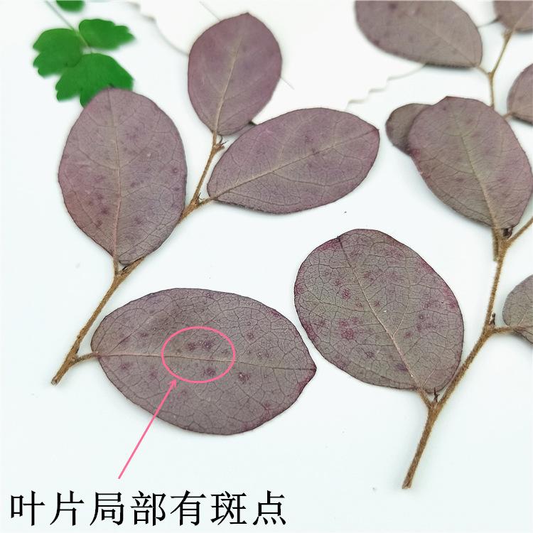 IMG20190127112919.jpg