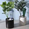 Dispositivo de rega de flores preguiçosas em forma de funil para plantas verdes em viagem e vasos de plantas gotejador automático e artefato de rega de plantas