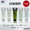 Set de Pintura Acrílica Personalizado de 75 ml, Impermeable y que no se decolora, Adecuado para Pintura DIY en Estudio, Se puede imprimir con logotipo